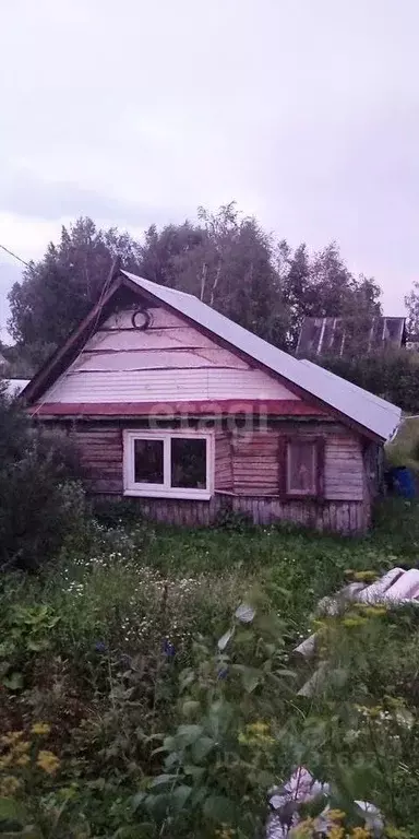 Дом в Пермский край, д. Хмели, Малинка-1 СНТ ул. Молодежная, 32 (20 м) - Фото 1