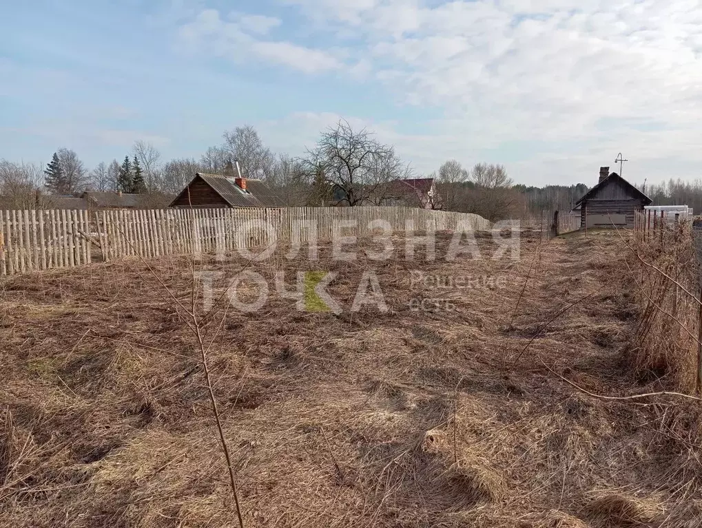 Участок в Новгородская область, Боровичский район, Опеченское с/пос, ... - Фото 1