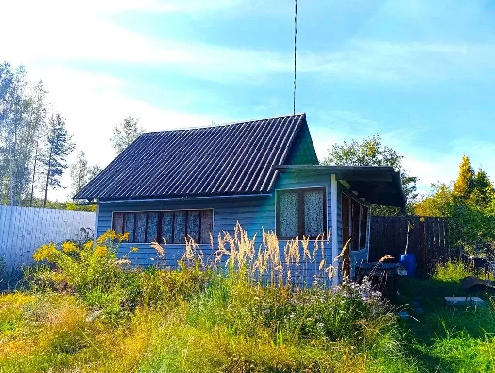 Участок в Московская область, Богородский городской округ, СНТ ... - Фото 1