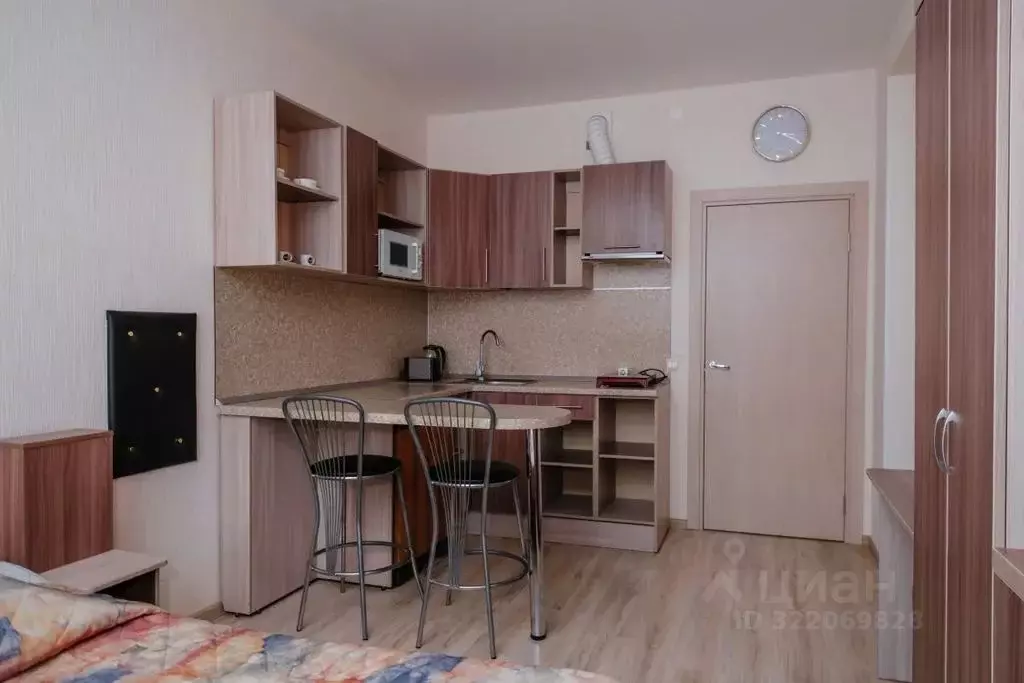 Студия Санкт-Петербург Пулковское ш., 14Е (24.0 м) - Фото 1