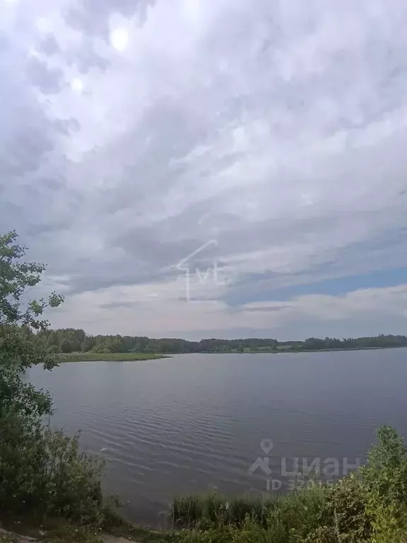 Участок в Владимирская область, Петушинский район, Пекшинское ... - Фото 1