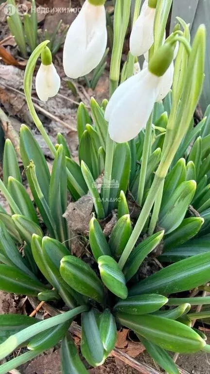 Участок в Войково, Рудниковская улица (20 м) - Фото 1