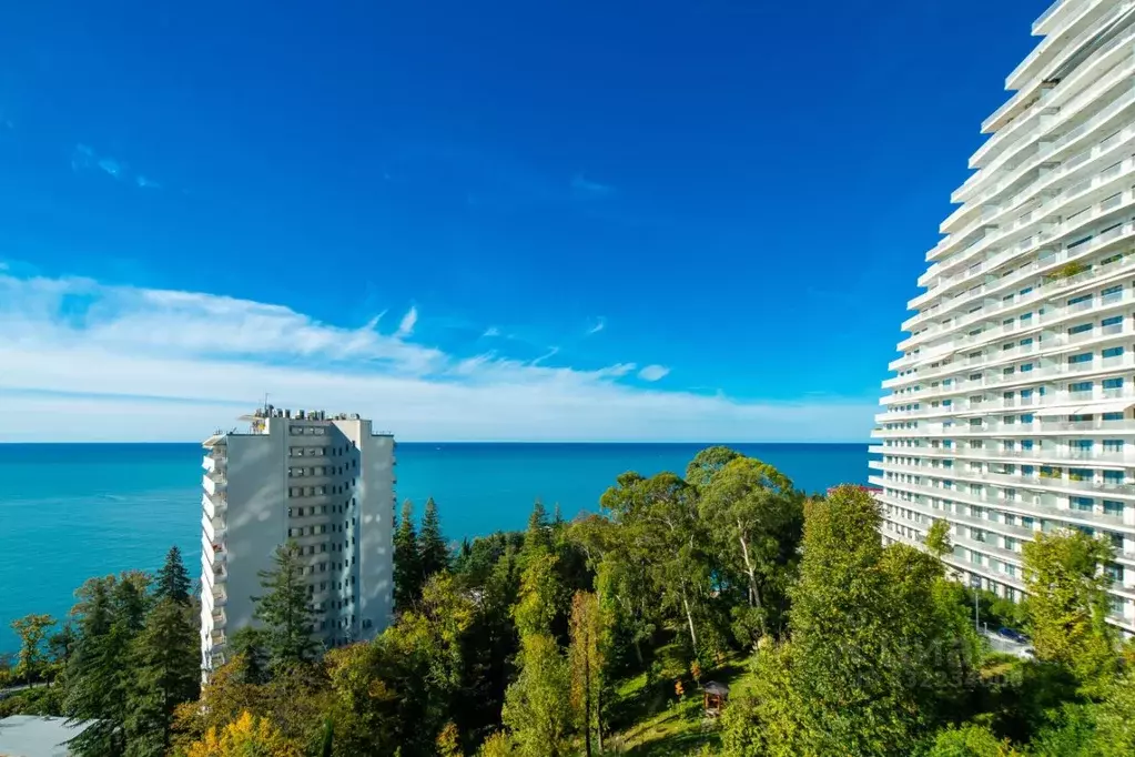 3-к кв. Краснодарский край, Сочи Курортный просп., 105б (151.9 м) - Фото 2