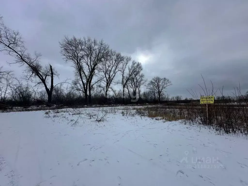 Участок в Воронежская область, Воронеж ул. Совхозная (10.6 сот.) - Фото 0