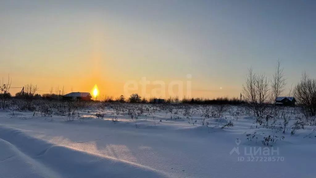 Участок в Тульская область, Тула городской округ, д. Дементеево, ... - Фото 2