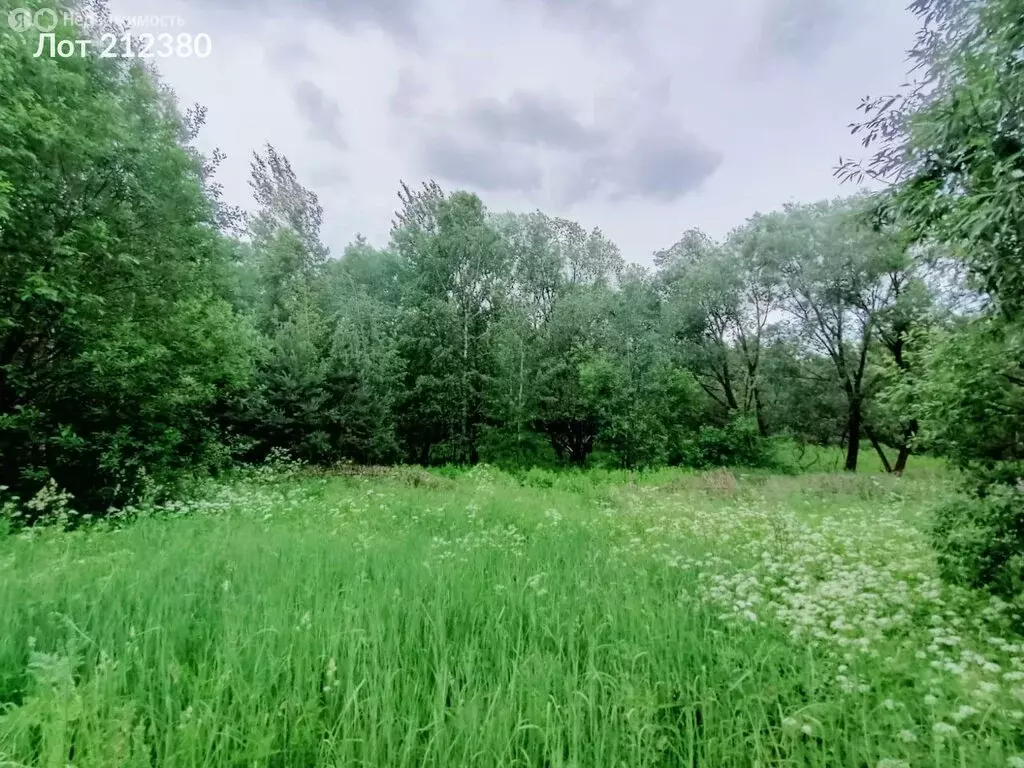 Участок в село Трубино, 99 (8 м) - Фото 0
