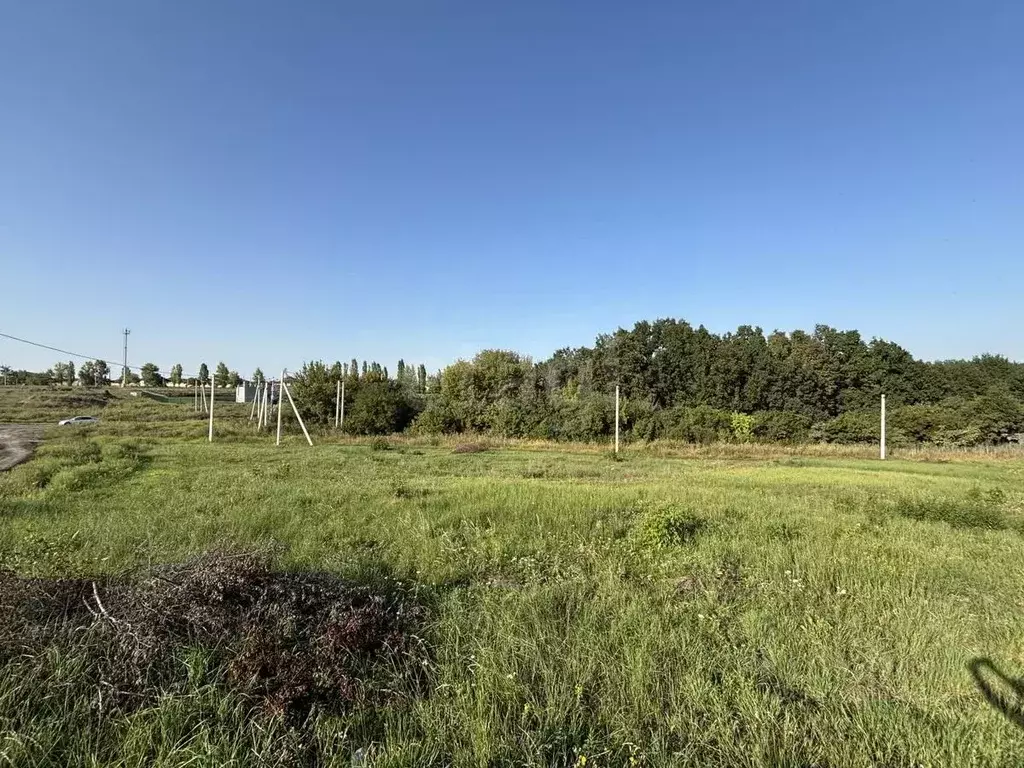 Участок в Белгородская область, Белгородский район, Дубовское с/пос, ... - Фото 1