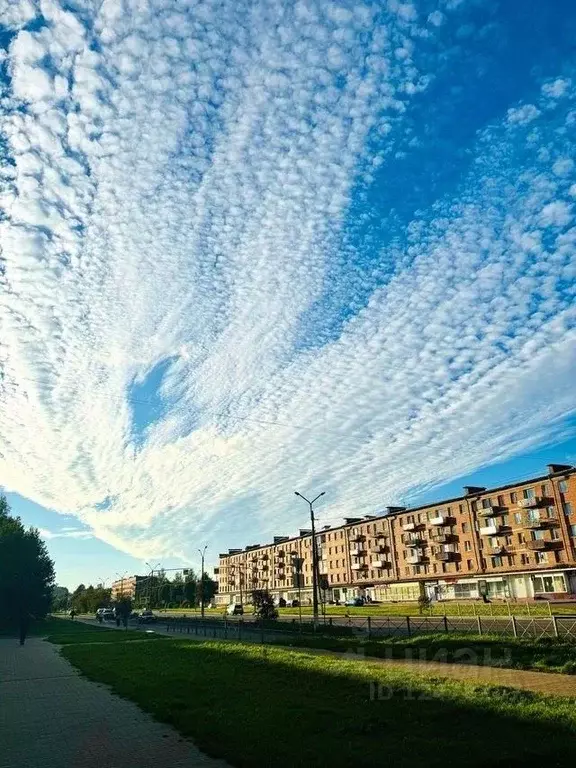 Комната Ленинградская область, Сланцы ул. Чкалова, 6 (14.0 м) - Фото 0