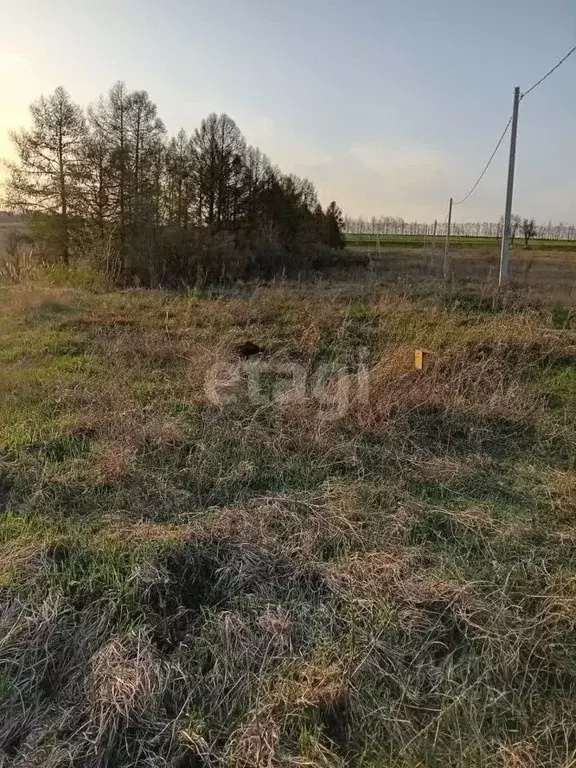 Участок в Белгородская область, Бирюч Красногвардейский район, ул. 8 ... - Фото 1