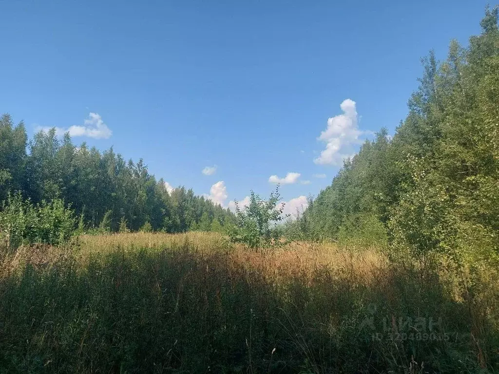 Участок в Ленинградская область, Всеволожский район, Свердловское ... - Фото 0