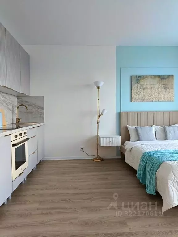 Студия Ленинградская область, Всеволожский район, Заневское городское ... - Фото 2