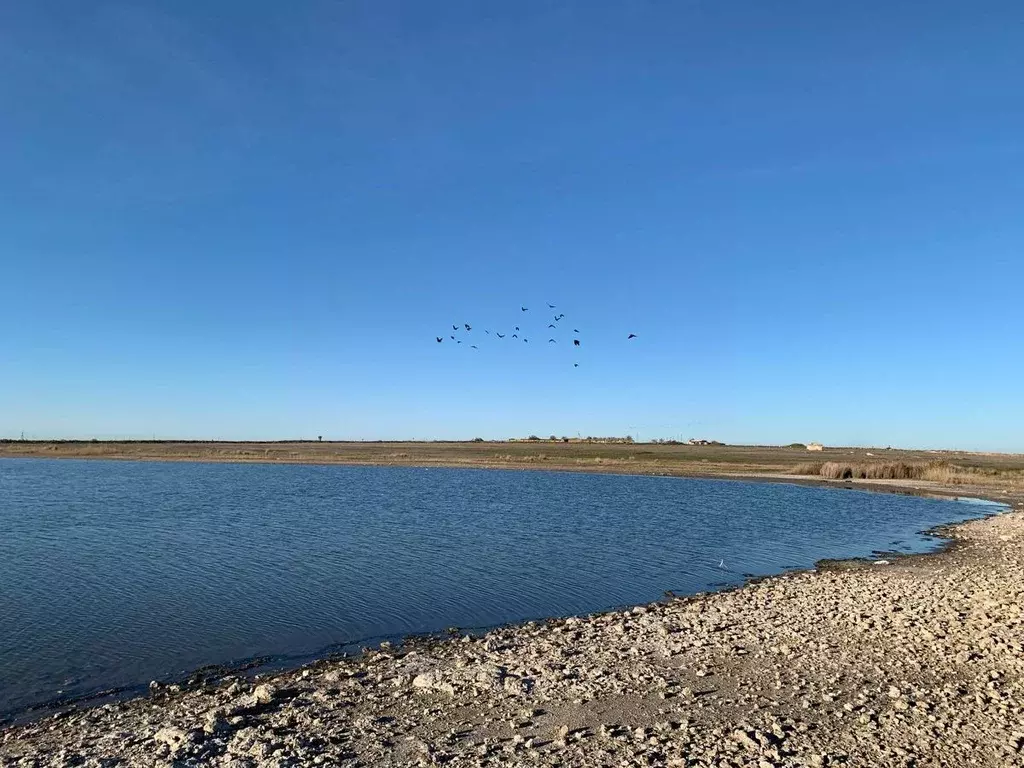 Участок в Крым, Евпатория  (6.0 сот.) - Фото 1