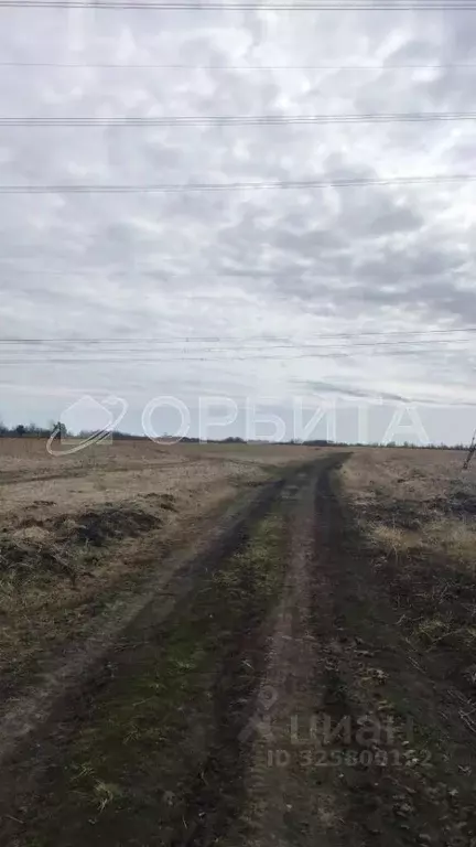 Участок в Тюменская область, Тюменский муниципальный округ, с. Борки  ... - Фото 1