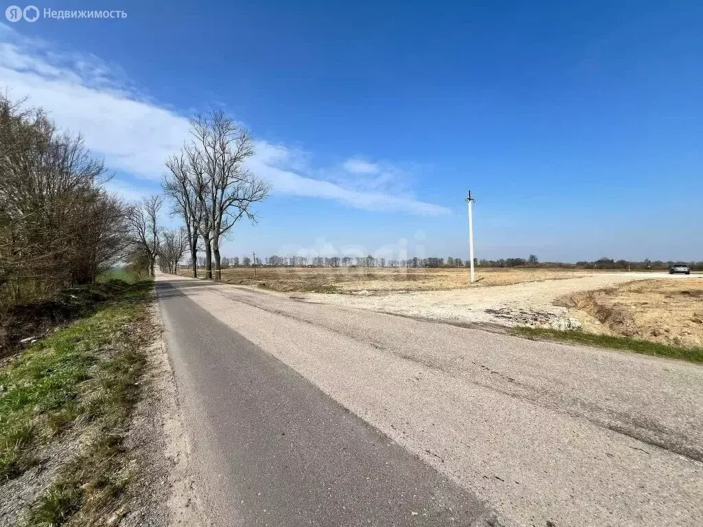 Участок в Калининградская область, Гурьевский муниципальный округ, ... - Фото 1