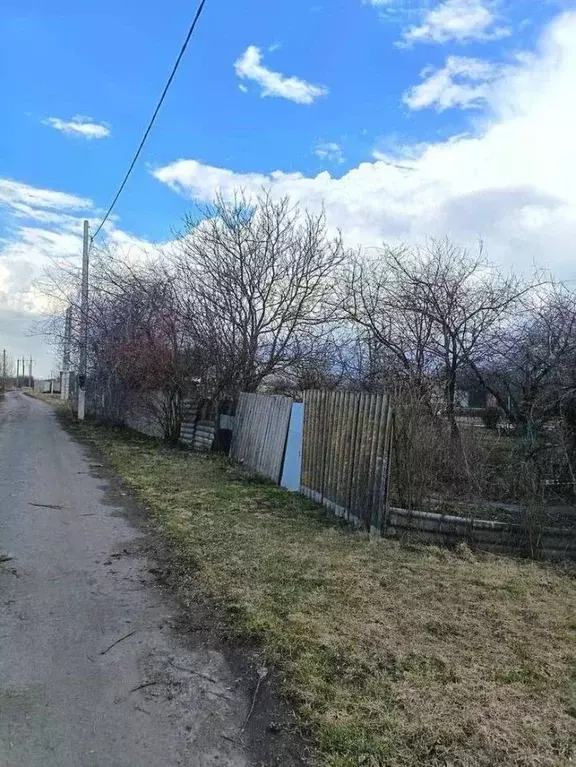 Участок в Курская область, Октябрьский район, Черницынский сельсовет, ... - Фото 1