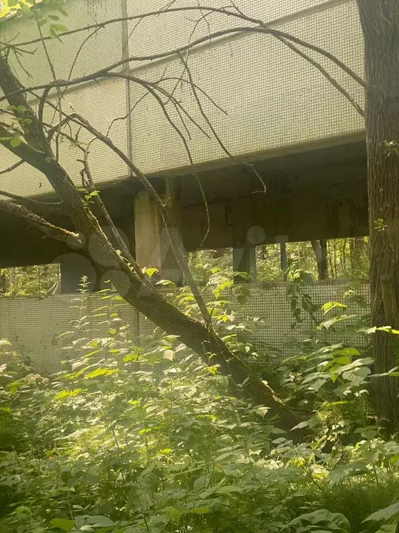 Участок 5 га (СНТ, ДНП) - Фото 1
