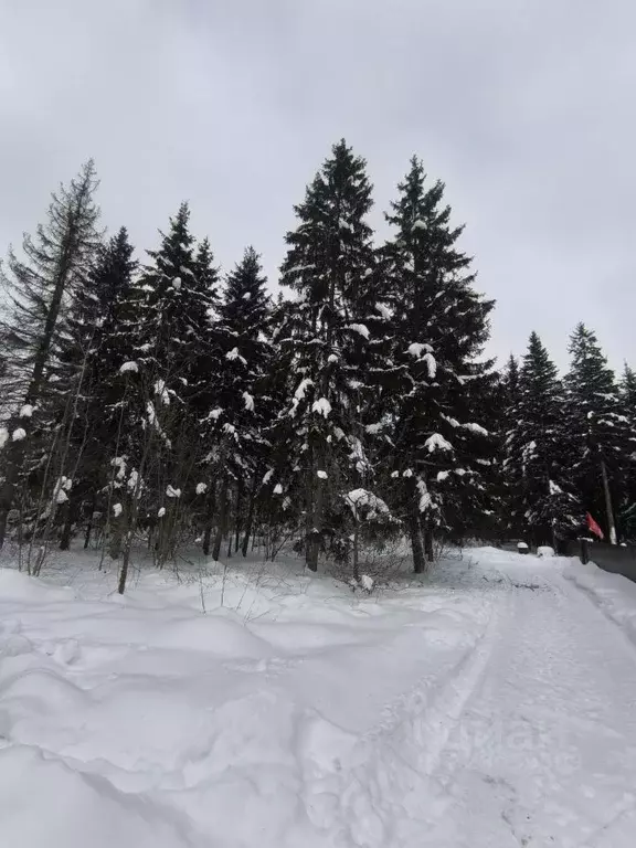 Участок в Москва пос. Красные горки, ул. Заречная, 97 (48.0 сот.) - Фото 2