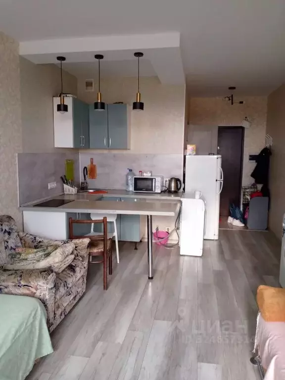 Студия Московская область, Солнечногорск городской округ, Андреевка ... - Фото 1