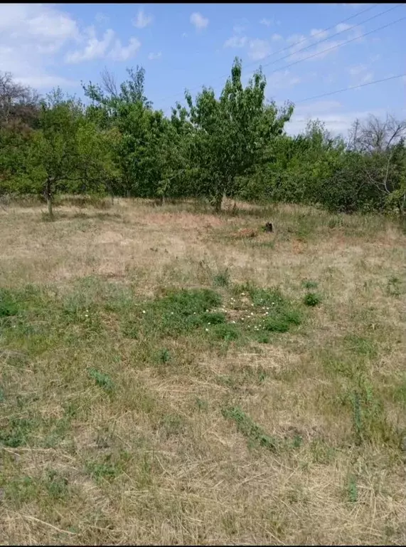 Участок 15 сот. (ИЖС) - Фото 0