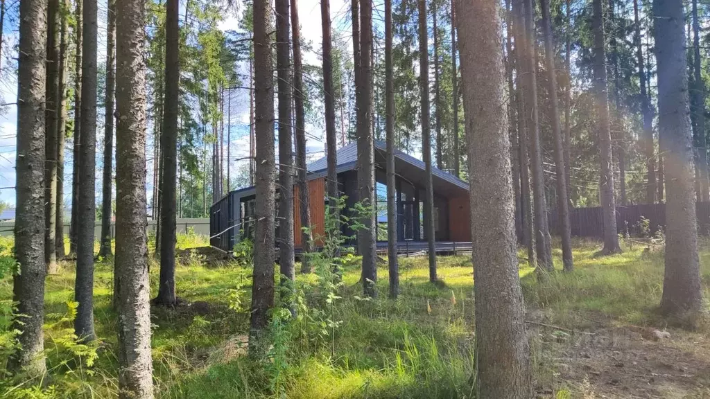 Дом в Ленинградская область, Всеволожский район, Юкковское с/пос, ... - Фото 2