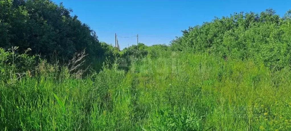 Участок в Тюменская область, Тюмень Большое Царево-1 ТСН,  (10.0 сот.) - Фото 1