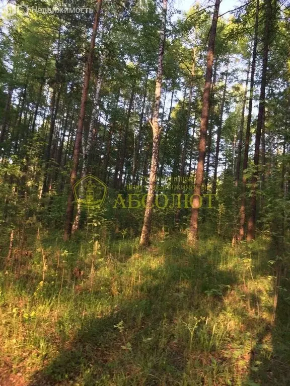 Участок в Свердловская область, Дегтярск (16 м) - Фото 0