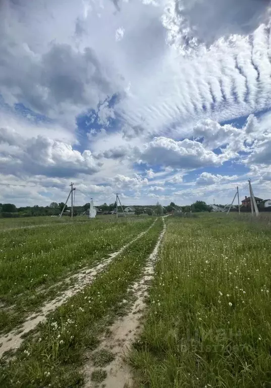 Участок в Московская область, Павлово-Посадский городской округ, д. ... - Фото 1