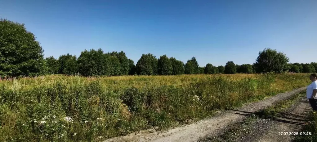 Участок в Ленинградская область, Всеволожский район, Романовское ... - Фото 0