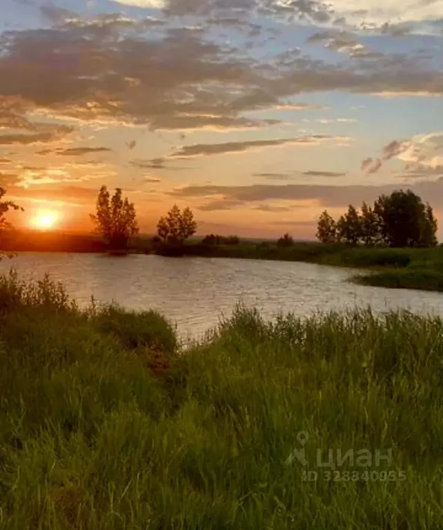 Участок в Самарская область, Красноярский район, Новосемейкино ... - Фото 1