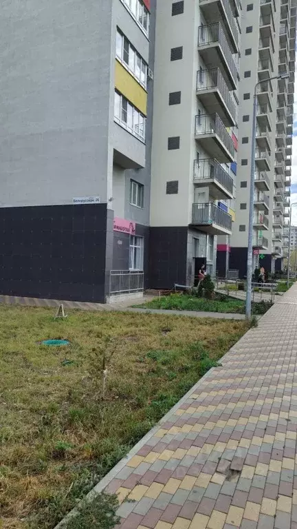 3-к кв. Самарская область, Самара Белорусская ул., 26 (92.6 м) - Фото 2