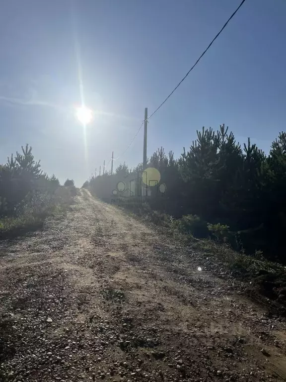 Участок в Иркутская область, Иркутский муниципальный округ, д. ... - Фото 2