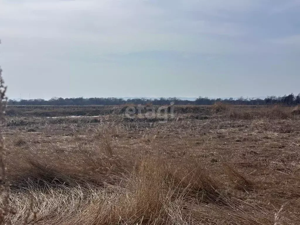 Участок в Сахалинская область, Южно-Сахалинск Лиственничное п/р,  ... - Фото 0