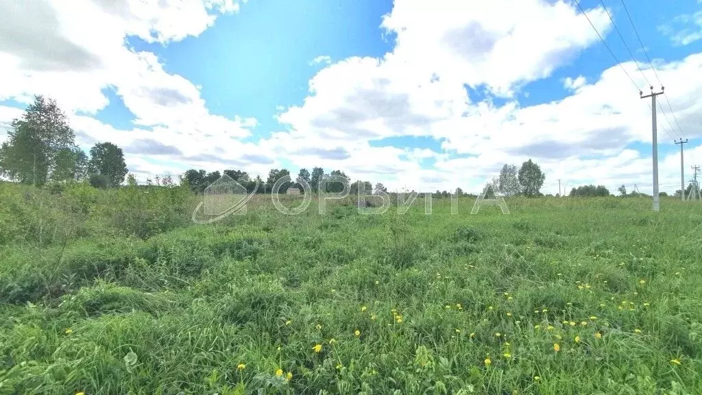 Участок в Тюменская область, Тюменский муниципальный округ, д. ... - Фото 1