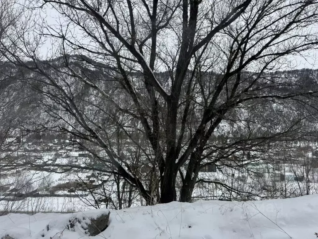 Дом в Алтай, Чемальский район, с. Чепош ул. Кучияк (22 м) - Фото 2