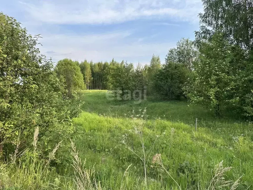 Участок в Костромская область, Кострома проезд Кружевной (8.8 сот.) - Фото 1