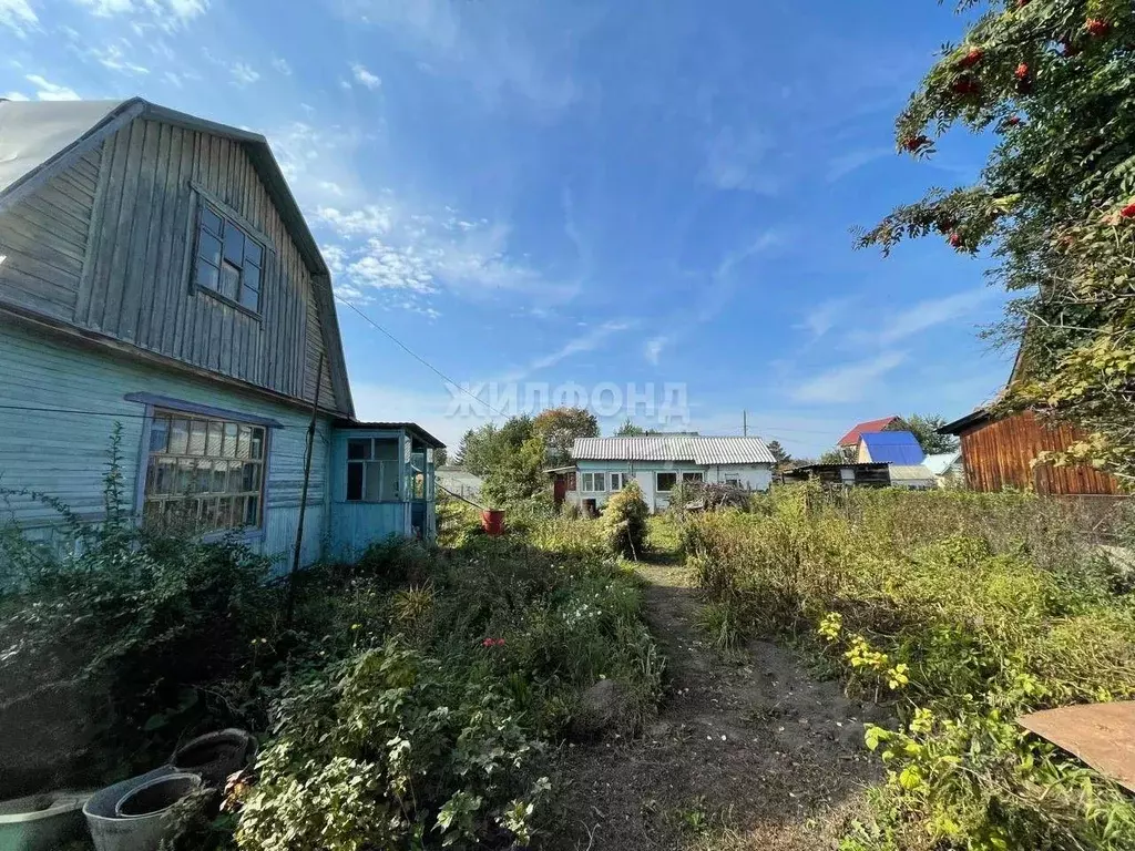 Дом в Новосибирская область, Новосибирский район, Толмачевский ... - Фото 0