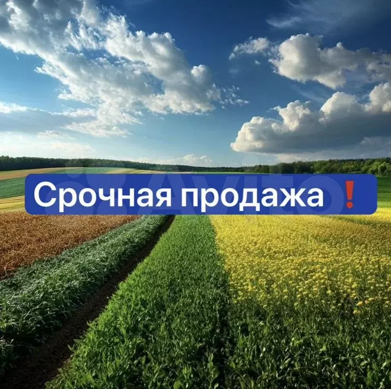 Участок 5 сот. (СНТ, ДНП) - Фото 0