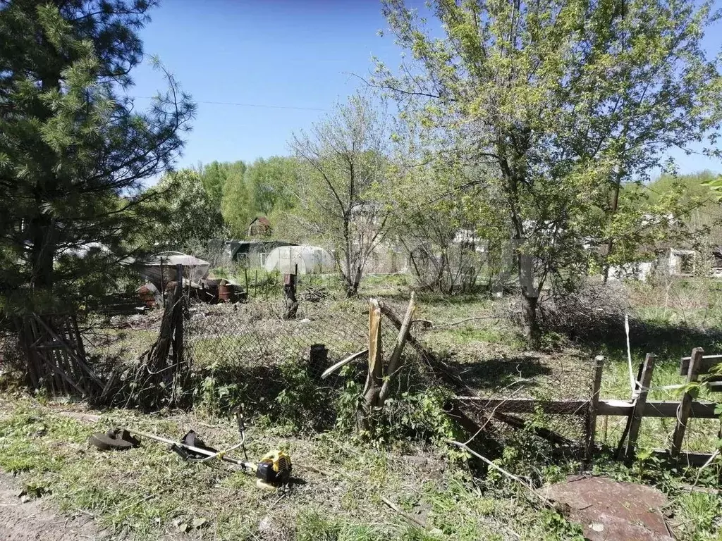 Участок в Новосибирская область, Новосибирск Ветеран СНТ,  (398.0 ... - Фото 1