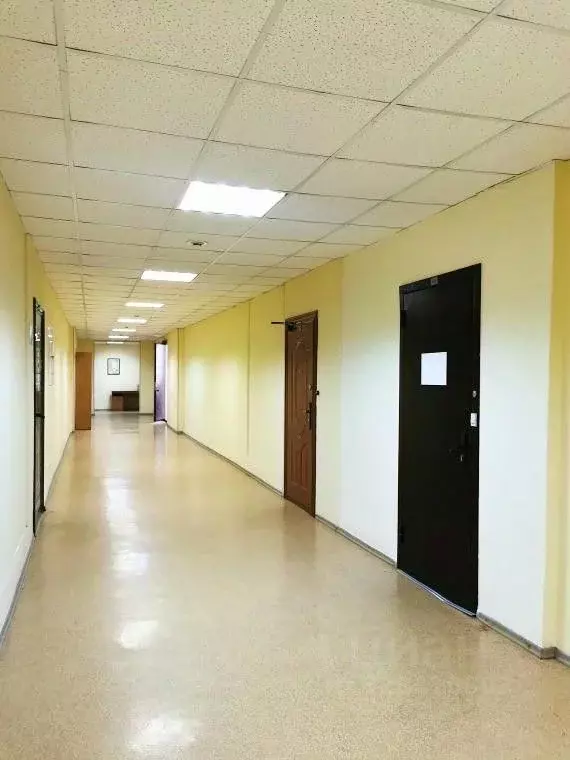 Офис в Санкт-Петербург Ленинский просп., 151 (47 м) - Фото 2