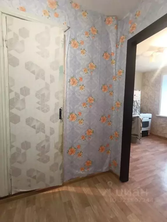 1-к кв. Кемеровская область, Березовский ул. Мира, 46 (34.0 м) - Фото 2