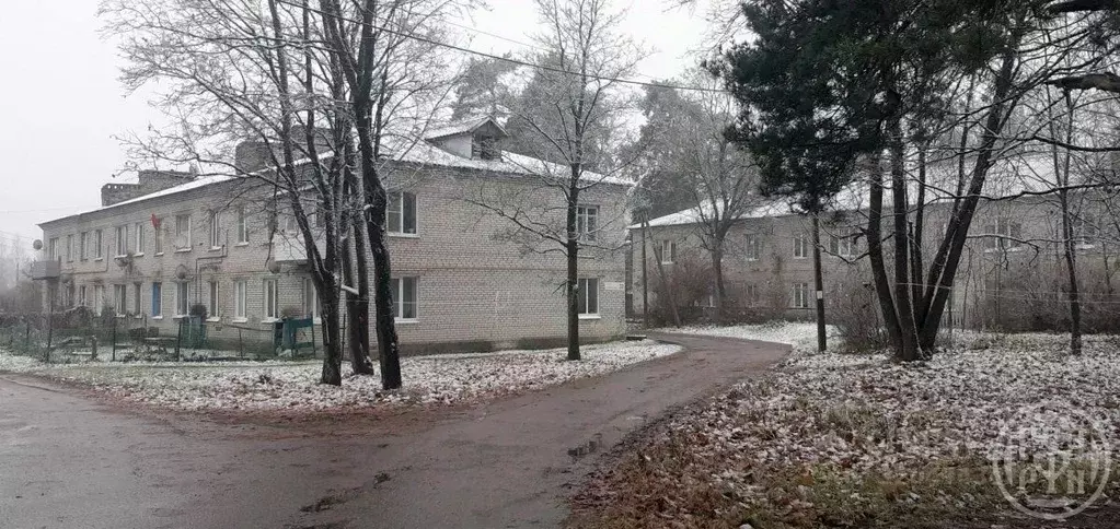 2-к кв. Ленинградская область, Выборгский район, Рощинское городское ... - Фото 0