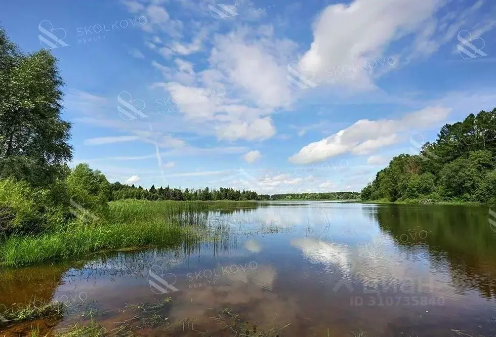 Участок в Московская область, Истра городской округ, д. Лыщево  (100.0 ... - Фото 1