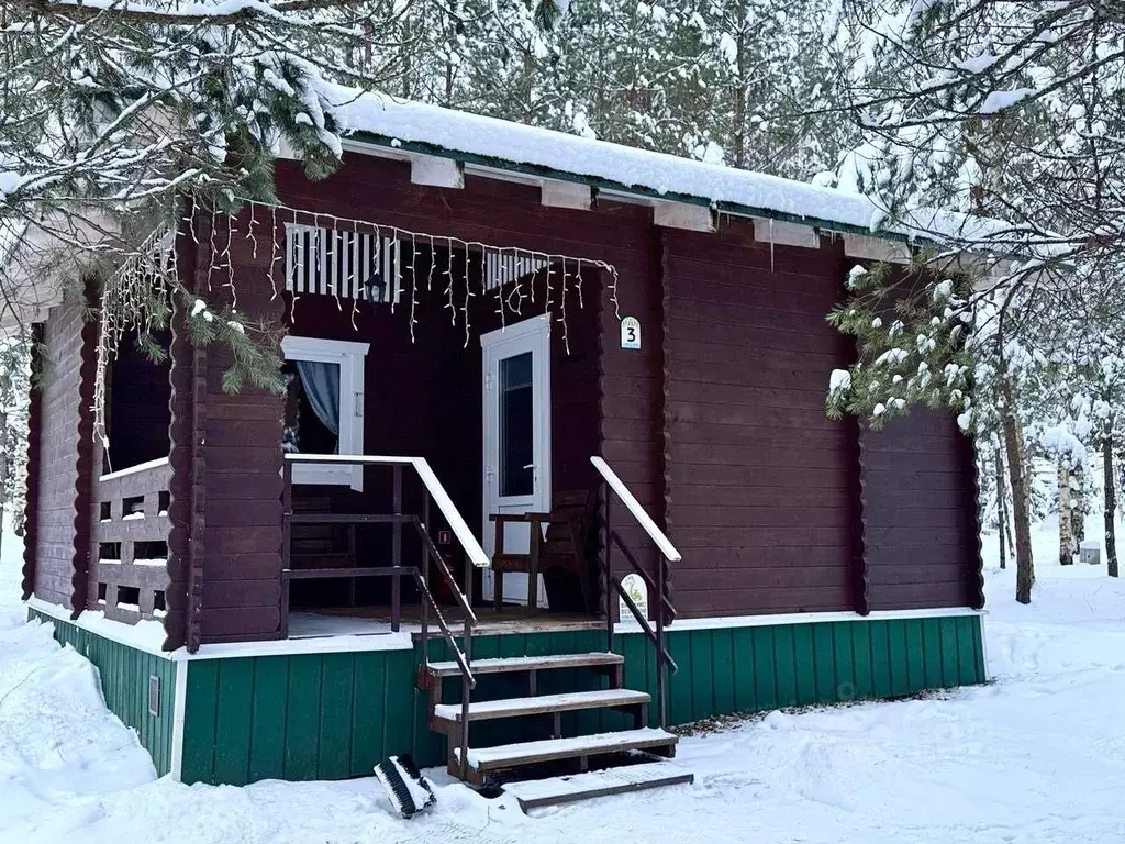 Дом в Новгородская область, Любытинское с/пос, д. Бор 129 (30 м) - Фото 1