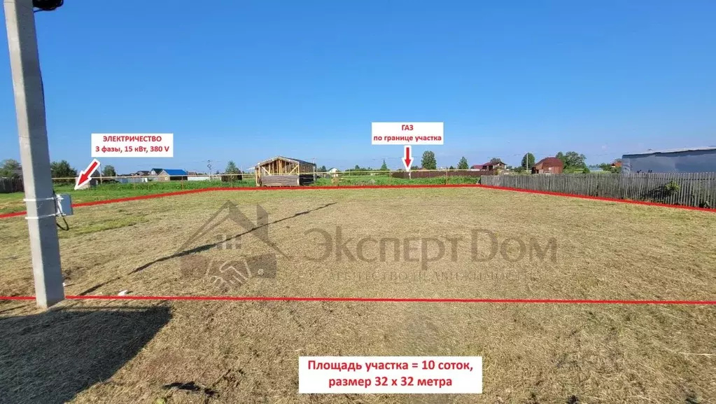 Участок в Новосибирская область, Коченевский район, СН Озерное СНТ ул. ... - Фото 1