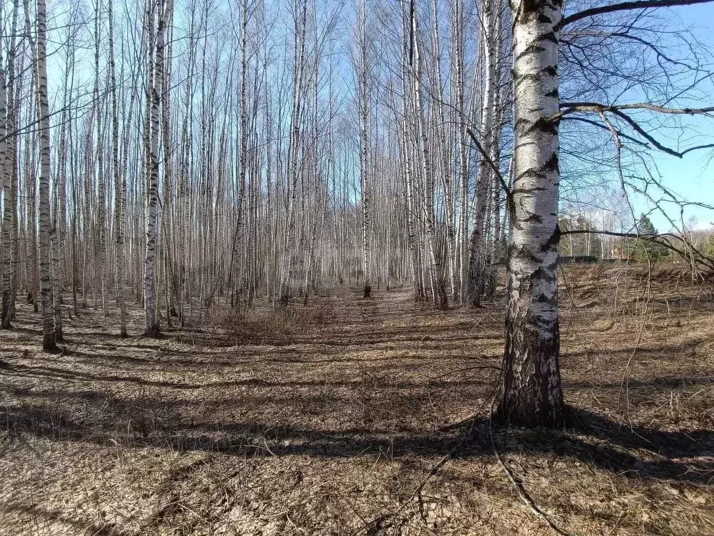 Участок 5,4 га (СНТ, ДНП) - Фото 1