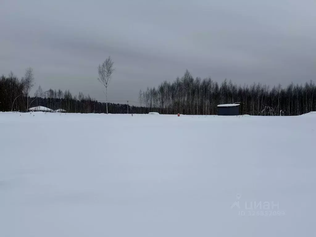 Участок в Владимирская область, Александровский муниципальный округ, ... - Фото 1