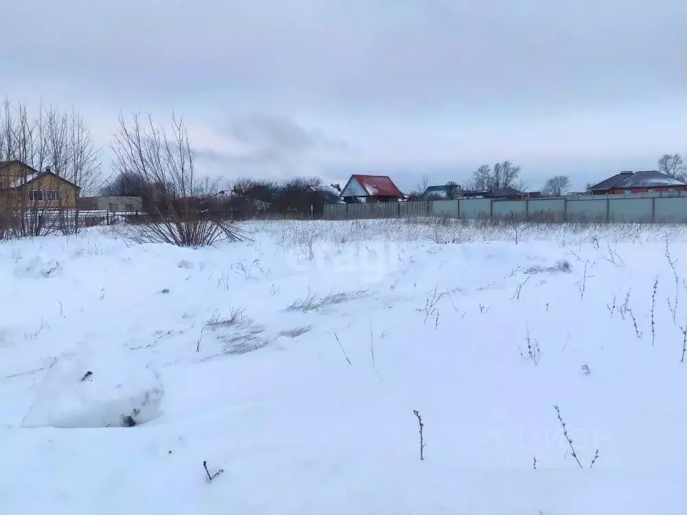 Участок в Ульяновская область, Чердаклинский район, Красноярское ... - Фото 1