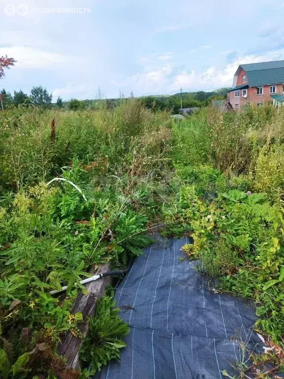 Участок в село Новолуговое, улица Чапаева (15.37 м) - Фото 2