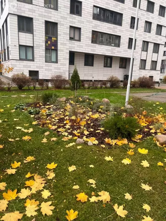 1-комнатная квартира: Санкт-Петербург, улица Академика Павлова, 6к2 ... - Фото 2