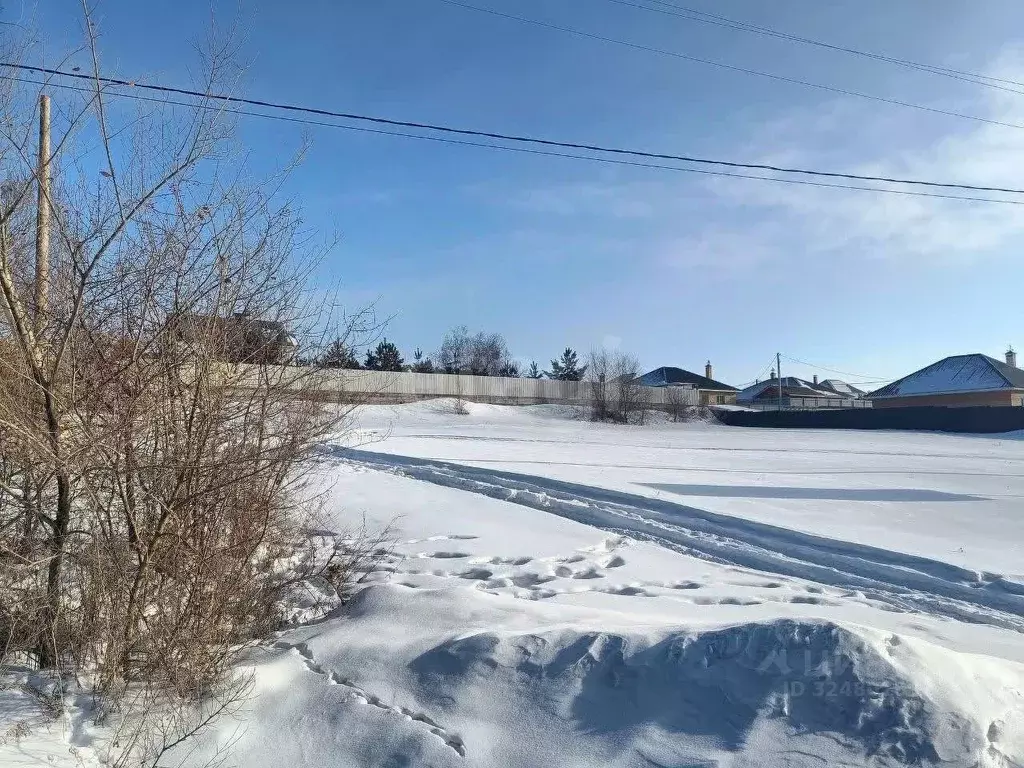 Участок в Амурская область, Благовещенск городской округ, с. Садовое ... - Фото 1